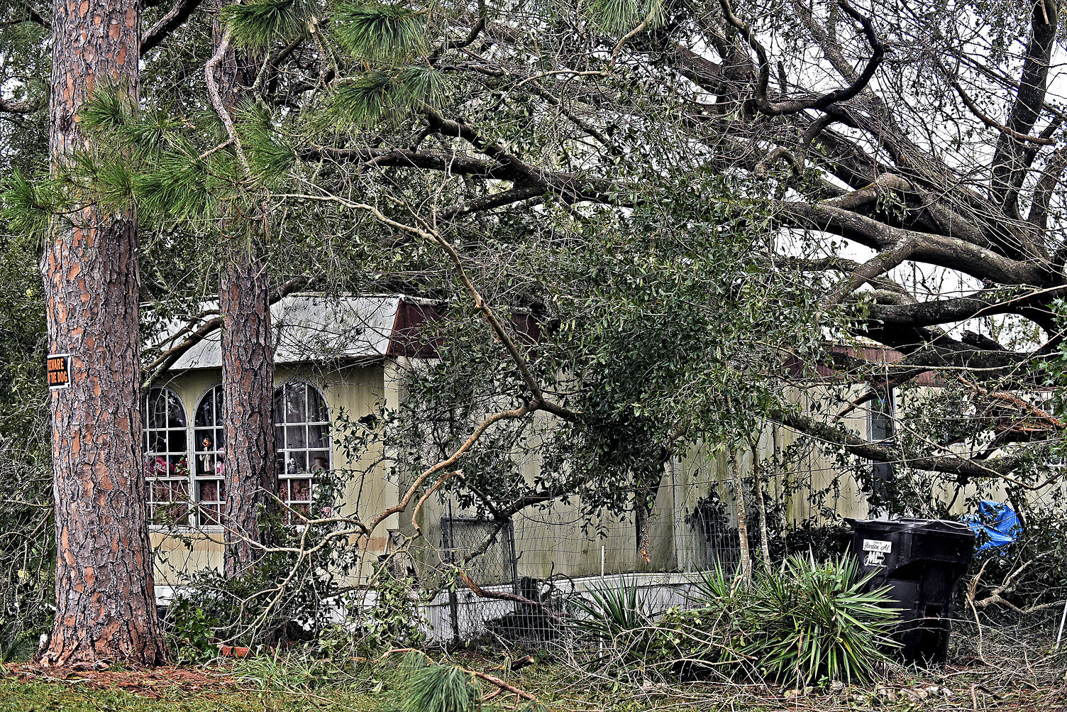 Hurricane Michael aftermath